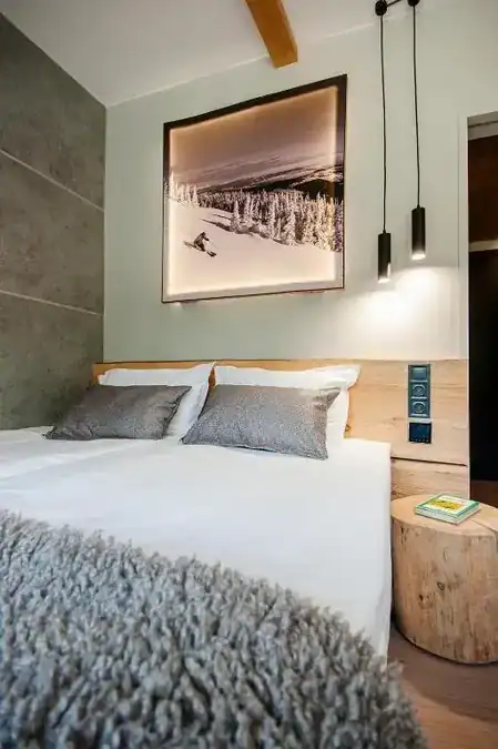Park Hotel Ela, снимка 3