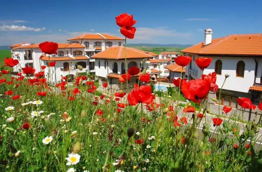The Vineyards Boutique Hotel & SPA, снимка 1