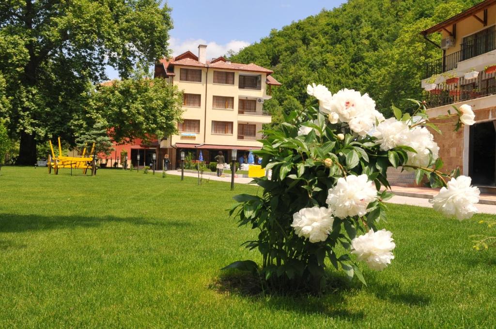 Хотел Делта